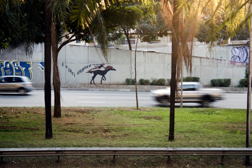 Saci Urbano aparece galopando à cavalo em plena Avenida 23 de Maio, São Paulo. #trânsito